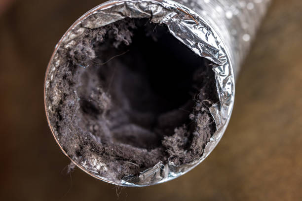 Best HVAC Maintenance and Cleaning  in Warren, OH